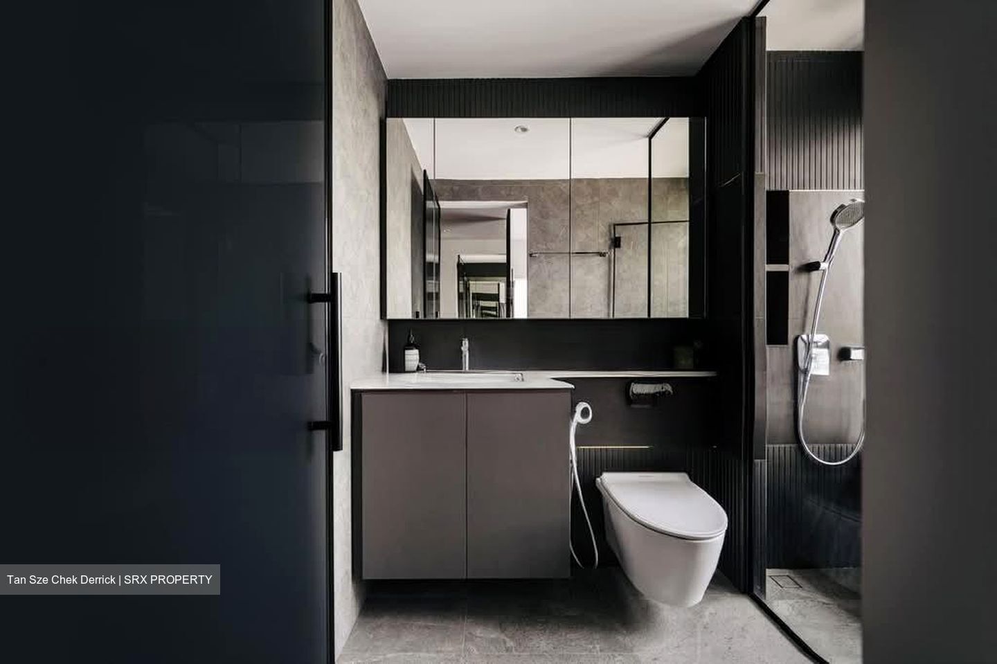 Trevista (D12), Condominium #537179811